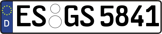 ES-GS5841