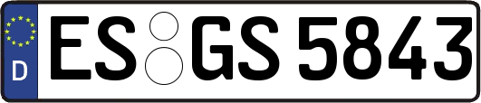 ES-GS5843