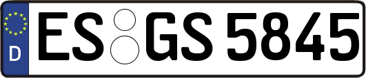 ES-GS5845