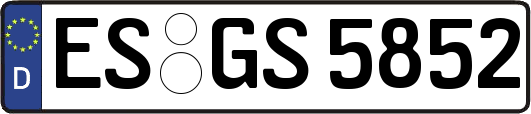 ES-GS5852