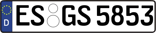 ES-GS5853