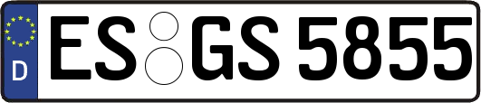 ES-GS5855