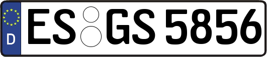 ES-GS5856