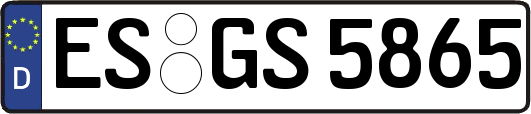 ES-GS5865