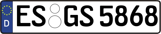 ES-GS5868