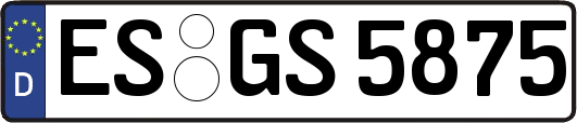 ES-GS5875