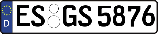 ES-GS5876