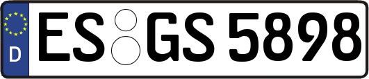 ES-GS5898