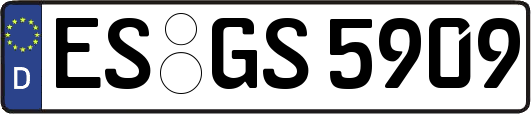 ES-GS5909