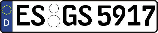 ES-GS5917