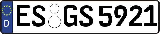ES-GS5921