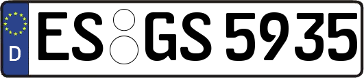 ES-GS5935