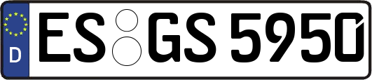 ES-GS5950