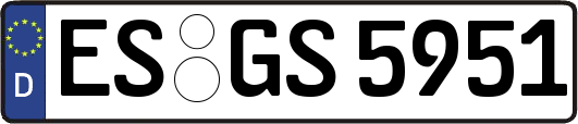 ES-GS5951