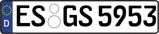 ES-GS5953