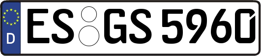 ES-GS5960