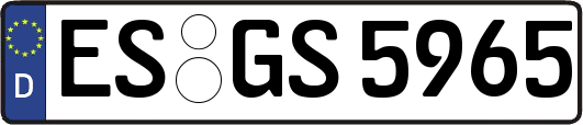 ES-GS5965