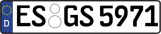 ES-GS5971