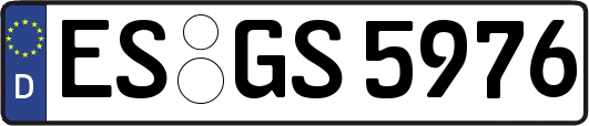 ES-GS5976