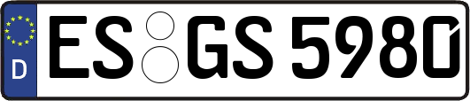 ES-GS5980
