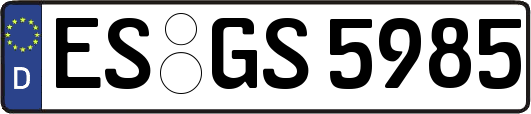 ES-GS5985