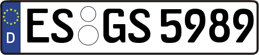 ES-GS5989