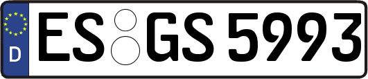 ES-GS5993