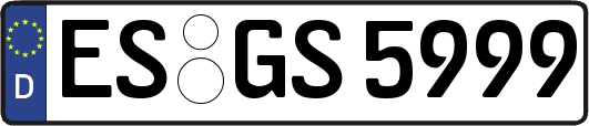 ES-GS5999