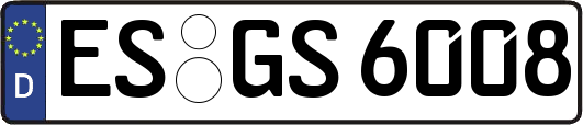 ES-GS6008
