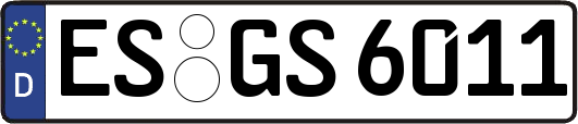 ES-GS6011