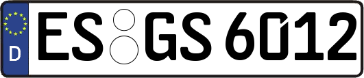 ES-GS6012