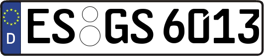 ES-GS6013