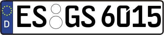 ES-GS6015