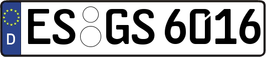 ES-GS6016