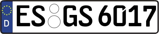 ES-GS6017
