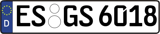 ES-GS6018