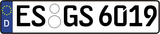 ES-GS6019
