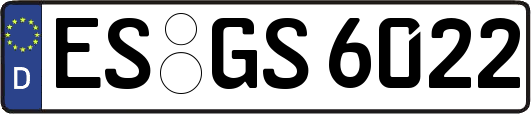 ES-GS6022