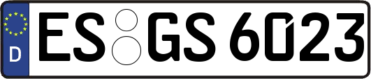 ES-GS6023