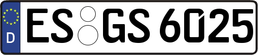 ES-GS6025