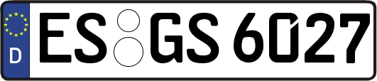 ES-GS6027
