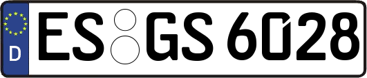 ES-GS6028