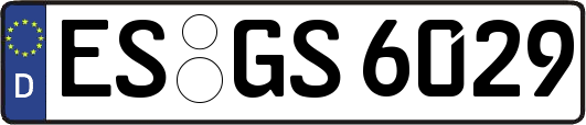 ES-GS6029