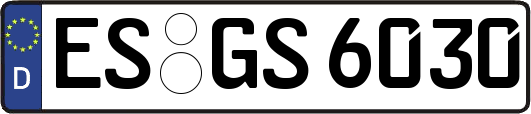 ES-GS6030