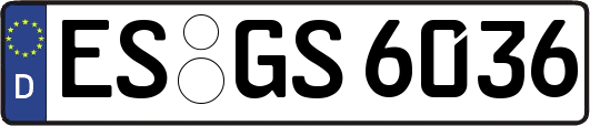 ES-GS6036