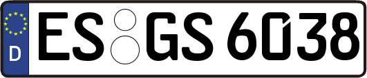 ES-GS6038