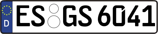ES-GS6041