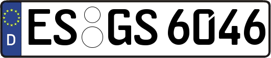ES-GS6046