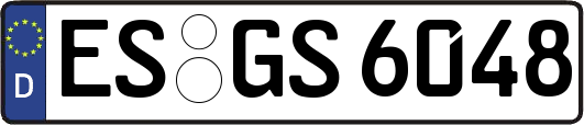 ES-GS6048