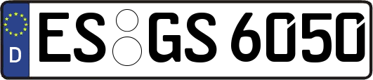 ES-GS6050